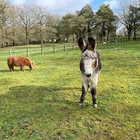 Nouveau Vacance Nature Au Calme Parque de Campismo La Boissiere-de-Montaigu